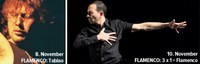 Wochenschau_Flamenco.jpg