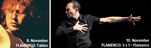 Wochenschau_Flamenco.jpg