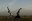 0488010.jpg-r_1920_1080-f_jpg-q_x-xxyxx.jpg