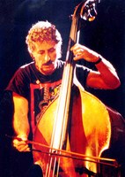 pavone