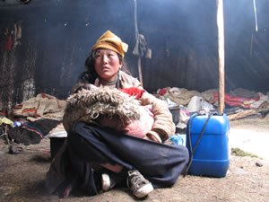yuanyou
