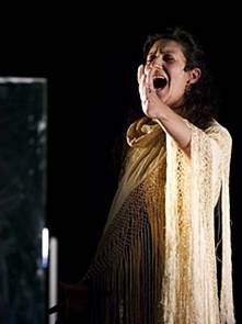 flamenco 1