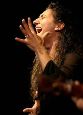 flamenco 7