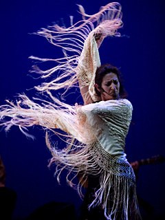 flamenco 4