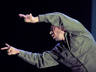 flamenco 8