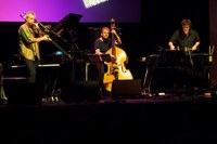Christian Muthspiel Trio