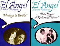 Flamenco elementar La Familia