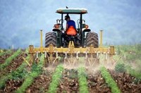 Monsanto