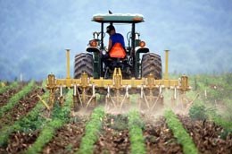 Monsanto