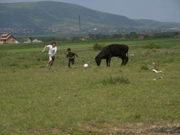 Peace Kicking Mission