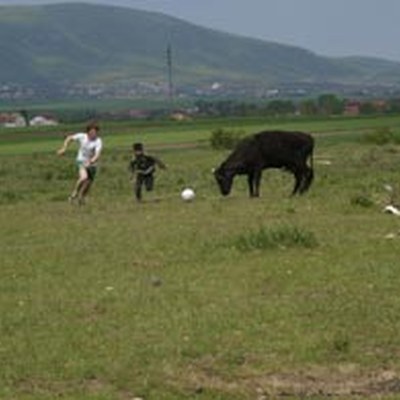 Peace Kicking Mission