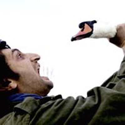 Ein Augenblick Freiheit