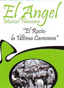 Musical Flamenco 6
