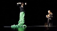 Diferencias Flamencas III