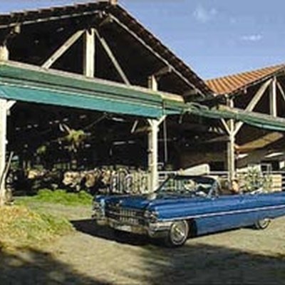 Ins Herz der Zukunft