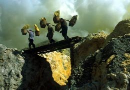 Workingman's Death