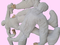 20250519_130442 (1)-Photoroom.png