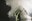 23 james wilton dance LORE c Chris Nash.jpg