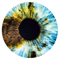 HuVI Eye