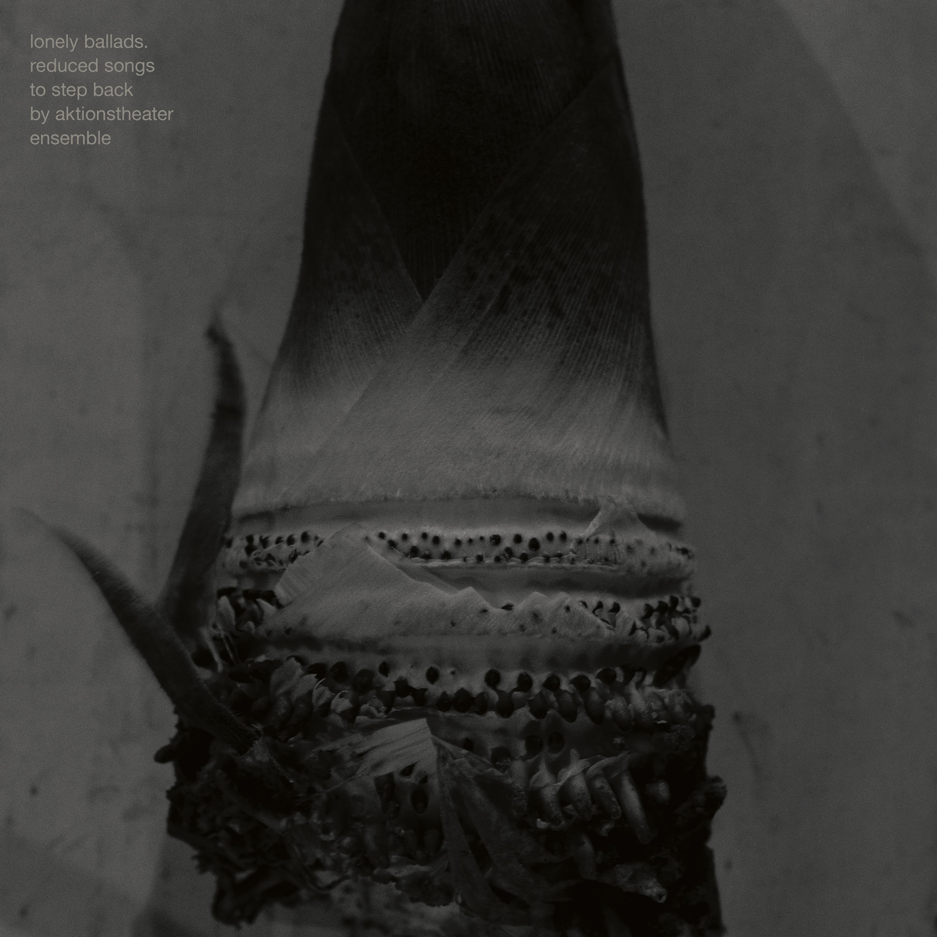 Cover Lonely Ballads   reduced songs to step back © Gerhard Klocker & proxi.me