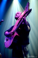 Live Harp 684x1024