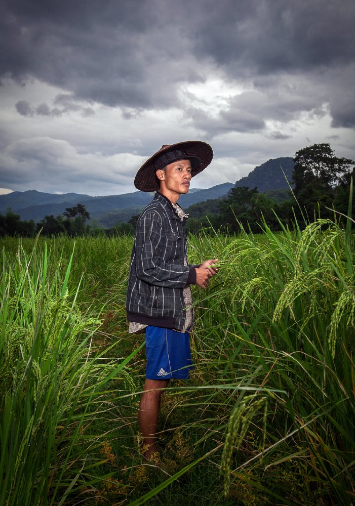 Banana Pancakes2 (c) Trigon Film