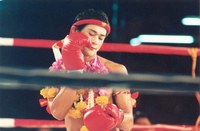 beautiful boxer 1
