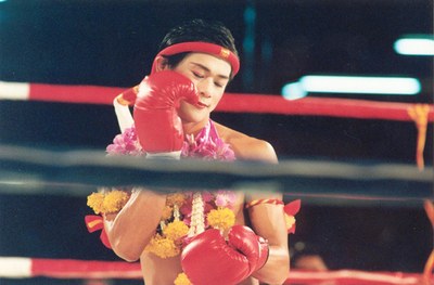 beautiful boxer 1