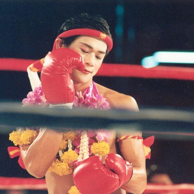 beautiful boxer 1