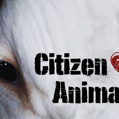 CitizenAnimal2