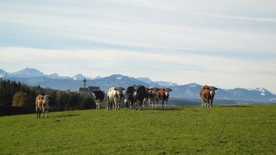 Allgaeu
