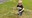 Thomassense.jpg