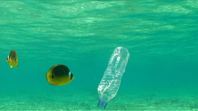 Abgefüllt_Wasser.jpg