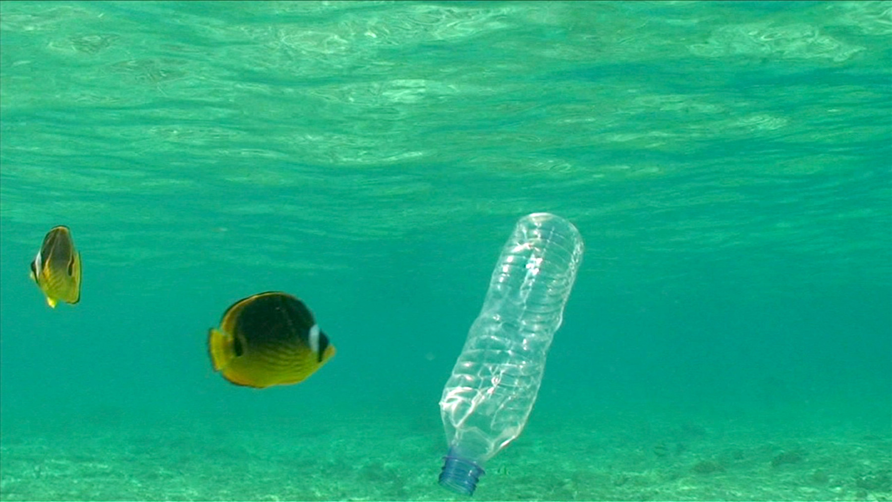 Abgefüllt_Wasser.jpg
