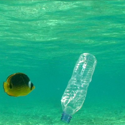 Abgefüllt_Wasser.jpg