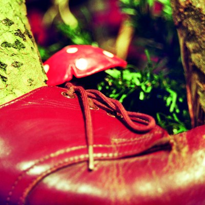 CMYK Pressefoto Ein Baum Joachim Berger