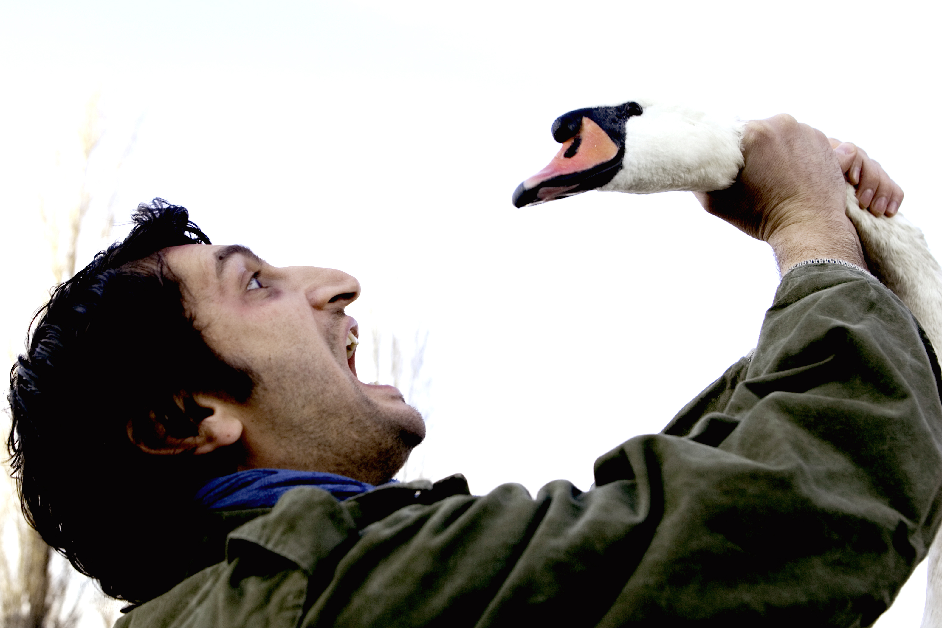 freiheit titelmotiv1