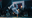 dancing_heartbeats3.png