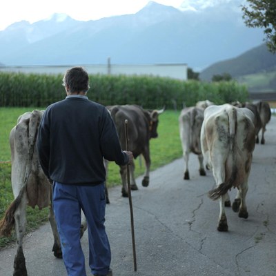 Das System Milch Foto
