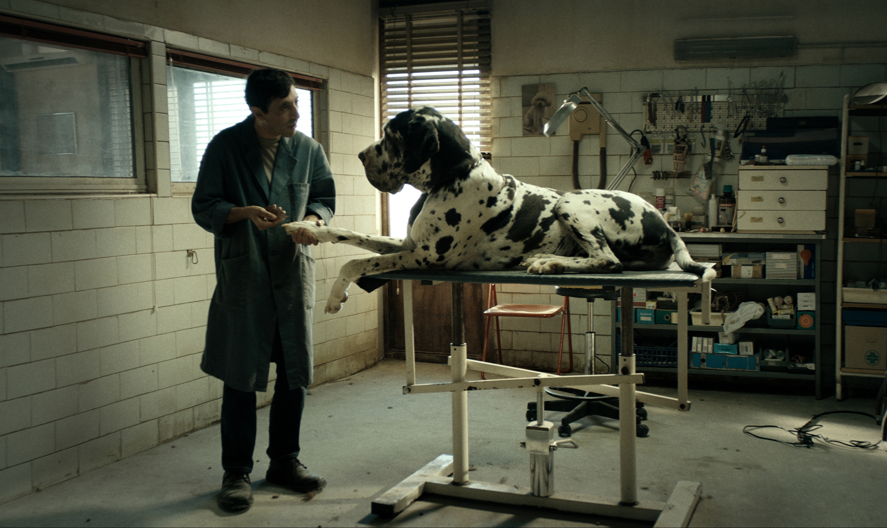 02 DOGMAN MarcelloFonte GretaDeLazzaris AlamodeFilm