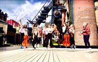 fiddlecats im Sprung.jpg