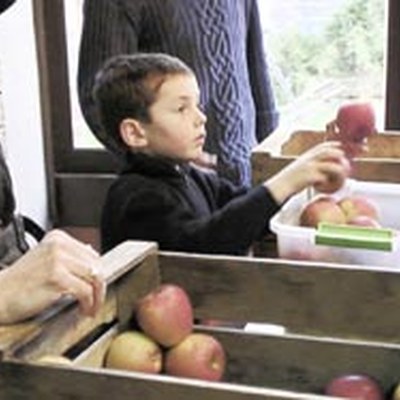 Good Food and Bad Food