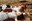 Fried Green Tomatoes_still_© Universal Pictures.jpg