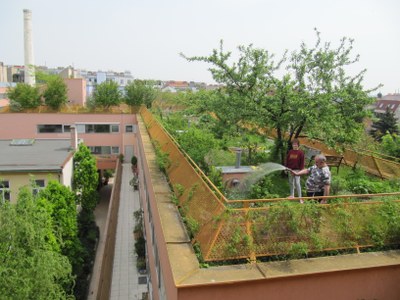 sargfabrik bkk2 10 r seiss