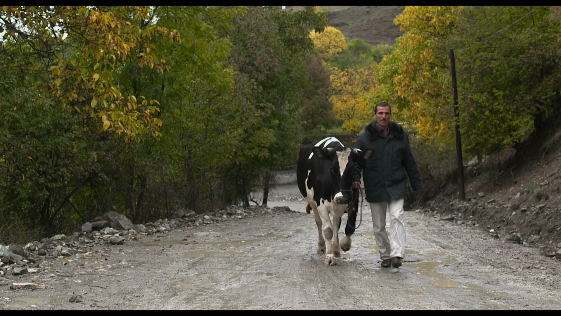 HolyCow still08 photocredit KloosundCo SarvarJavadov