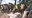 FallMubende Plantagenarbeiter 2