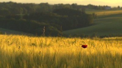 landlust landfrust landschaft