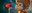 Jazzy_Haltung_JAZZY-CIR_c_caminofilm_44_74792_webdetail900 (1).jpg
