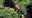 Life On Our Planet_03.jpg