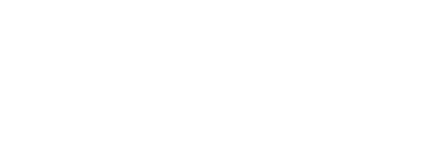 logo-weiss-transparent.png